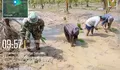 Wujudkan Ketahanan Pangan dari Desa: Koramil 1312-08/Melonguane Dampingi Petani Tanam Padi Varietas Unggul di Ambela