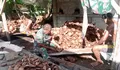 Dorong Peningkatan Pendapatan Masyarakat, Babinsa Bantu Warga Olah Hasil Panen Kelapa