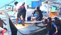 Live Streaming Facebook Jadi Penyelamat: 3 Nelayan Talaud Selamat dari Maut di Tengah Gelombang Tinggi