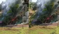 Kebakaran di Gogagoman Kotamobagu, Diduga Akibat Pungtung Rokok, Kapolres & Damkar Turun Tangan