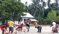 Wujudkan Kepedulian Pendidikan, Babinsa dan Warga Bannada Gotong Royong Benahi Halaman SMP 