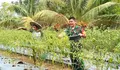 Dukung Ketahanan Pangan, Babinsa Koramil 1312-05/Essang Bantu Petani Cabai di Wilayah Binaan