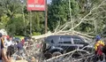 Detik-detik Poros Enrekang–Makassar Tertutup Pohon Tumbang, SUV Rusak dan Kendaraan Mengular