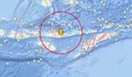 Gempa M7,7 Guncang Nagekeo, Tsunami Terdeteksi hingga Sulsel: BMKG Minta Warga Pesisir Waspada