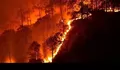 Karhutla Kaltim Meluas, 936 Hektare Hutan dan Lahan Terbakar di 413 Titik