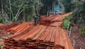 60 M³ Kayu Ditemukan di SM Kerumutan, 6 Orang Jadi Tersangka Pembalakan Liar