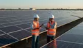 4 Peran yang Paling Dicari dalam Profesi Green Jobs di Indonesia Saat Ini
