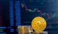 Bitcoin Ambruk 50 Persen dalam 3 Bulan! Dari Rp2 Miliar ke Rp1 Miliar, Apa yang Sebenarnya Terjadi?