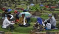 Kapan Ziarah Kubur Sebelum Ramadhan 2026? Ini Waktu Terbaik, Jangan Sampai Terlewat