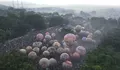 Jadwal Festival Balon Terbang Wonosobo 2026, Lengkap Lokasi dan Waktu Acara