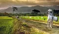 Slow Living di Desa, Nasehat untuk Orang Kota: Desa Mawa Cara, Negara Mawa Tata