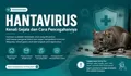 Mengenal Apa Itu Hantavirus dan Cara Penularannya Virus Mematikan dari Tikus Gegerkan Kapal Pesiar, Sudah Masuk Indonesia?