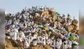 Bukan Sekadar Berdiri di Padang Pasir — Inilah yang Sebenarnya Terjadi Saat Wukuf di Arafah