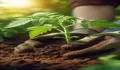Tren Plant-Based di Indonesia: Antara Gaya Hidup Tulus dan Flexing Doang