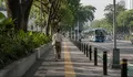 Kota Paling Ramah Pejalan Kaki di Indonesia — Versi Data