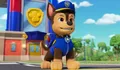 Mengenal Chase, Anjing Polisi PAW Patrol yang Siap Menyelamatkan!