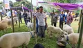 Kontes Ternak dan Jambore Inseminator 2026 Meriah, Ketahanan Pangan Kian Menguat