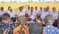 Jateng Genjot Produksi Padi, Luthfi Siapkan Antisipasi Kemarau hingga Akhir Tahun