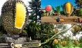 4 Tempat Terkenal di Bogor yang Menjual Buah Durian Utuh dan Produk Olahan Durian