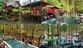 Di Tegal Ada Resort di dalam Hutan Pinus? Punya Pemandian Air Hangat nya Loh, Yuk Staycation Kesini 
