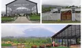 Nikmatnya, Seruput Kopi sambil Wisata Kuliner dengan View Gunung Merbabu yang Indah Banget, Ada Mini Zoo dan Bisa Keliling Perkebunan Sayur!