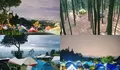 Gokil Abis! Tempat Camping ini punya View Hutan Pinus dan City Light yang Super Keren, Lokasinya cuma 2 Jam dari Jakarta