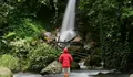 Tempat Wisata yang Sering Dikunjungi Macan! Eksplorasi Keunikan Air Terjun Tersembunyi di Taman Nasional Gunung Halimun Salak ini