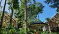 Tempat Glamping Ini Nuansanya Syahdu Abis! Dikelilingi Rindangnya Pepohonan Serasa Liburan di Pedesaan yang Asri