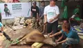 Berkah Baznas Depok Salurkan 410 Paket Daging Kurban