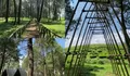 Viewnya Full Pohon Pinus dan Hamparan Perkebunan Teh, Suasana Tempat Camping Bandung Ini Dijamin Nyaman dan Seger Banget!