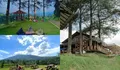 Kapan Lagi Bisa Healing di Tempat Secantik Ini, Bengong dan Santai Sambil Memandang Pegunungan dan Persawahan yang Indah!