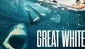 Kengerian Teror Hiu Putih Saat Bertahan Hidup di Laut Lepas Pada Film Great White yang akan Tayang di Bioskop Trans TV!