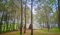 Nikmati Liburan yang Tenang dan Syahdu di Tempat Camping yang Langsung Disuguhi Hamparan Persawahan dan Pepohonan Pinus Ini!