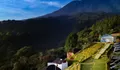 Villa dan Glamping Tertinggi di Puncak yang Pemandangannya Bikin Menghipnotis Saking Indahnya!