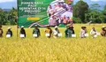 Panen Raya Serentak, Rudy Susmanto Gaspol Dukung Ketahanan Pangan di Kabupaten Bogor