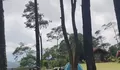 Piknik hingga Camping Murah Meriah dengan Panorama Gunung Ciremai yang Tiket Masuknya Cuma Rp 5 Ribu Aja!
