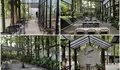 Sore-sore Gini Enaknya Ngopi Syahdu di Esposa Coffee and Forest dengan Nuansa Kebun Jati yang Adem!