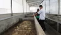 Warga Binaan Lapas Cibinong Ubah Sampah jadi Uang : Kembangkan Inovasi Budidaya Maggot Bernilai Jual Tinggi