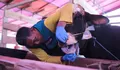 Sebanyak 15.691 Hewan Kurban Diperiksa, Kota Bandung Bebas PMK dan Antraks
