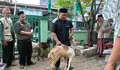 Pastikan Pemotongan Hewan Kurban Sesuai Syariat, PCNU Kota Bekasi Gelar Pelatihan AHSANU