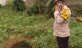 Terungkap Misteri Penemuan Mayat Perempuan hanya Kenakan Rok dan Bra di Kebun Singkong, Polisi Beberkan Dugaan Penyebab Kematian