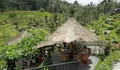 Daftar Cafe di Bali yang Menawarkan View Sawah Mempesona, Buat Dikunjungi Saat Liburan