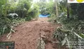 Tebing Setinggi 35 Meter di Puncak Bogor Longsor, Sempat Tutup Akses Jalan