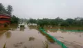 Ratusan Kolam Tambak Ikan di Ciseeng Bogor Terendam Banjir, Kerugian Capai Ratusan Juta