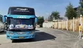 Untuk yang di Bogor, Ada Program Mudik Gratis Nih dar Polres, 10 Bus Disiapkan