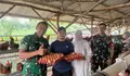 Dandim Apresiasi Program Ketahanan Pangan Ternak Ayam Petelur di Desa Babakan Bogor, Dukung Terwujudnya One Village One Product