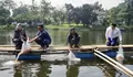 Ketua DPRD Bogor Tebar Bibit Ikan Nila di Situ Cibinong, Dukung Program Ketahanan Pangan