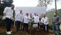 Satu Juta Pohon Ditanam di Puncak Bogor oleh PTPN dan BAKN DPR RI, Berharap Cegah Longsor dan Banjir