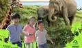 Bikin Liburan Makin Seru! Taman Safari Bogor Hadirkan Promo Early Bird Hanya Rp175 Ribu