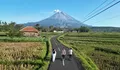 Jalan Viral Pronojiwo, Wisata Alam Lumajang dengan View Gunung Semeru yang Menakjubkan